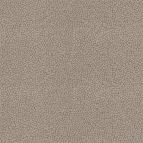 Kairi W6651-04